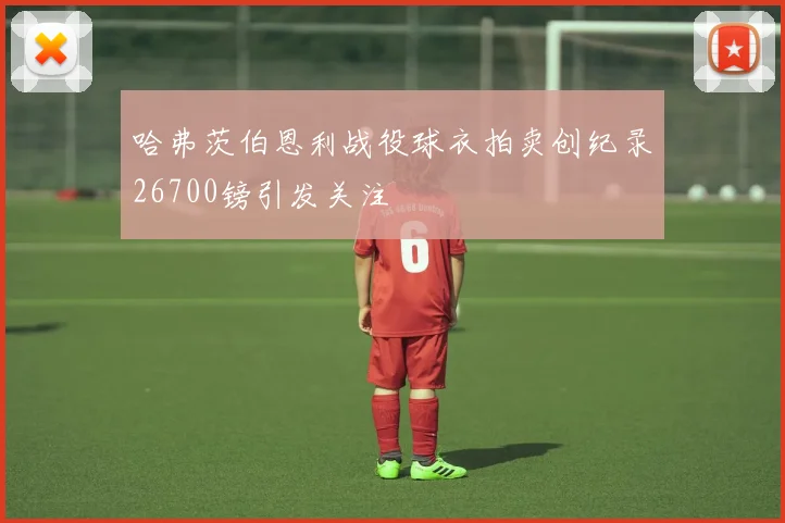 哈弗茨伯恩利战役球衣拍卖创纪录26700镑引发关注